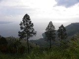 DSCN2516