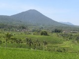 DSCN2850
