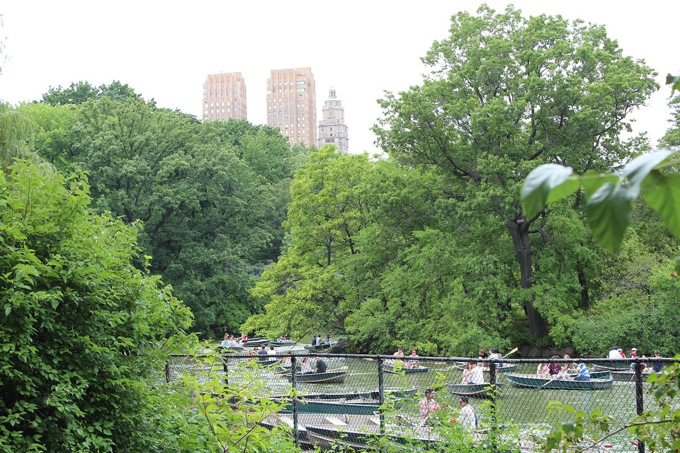 Central Park