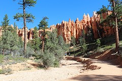 Wandeling door Bryce Canyon