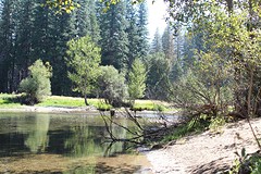 Merced River in Yosemite Valley