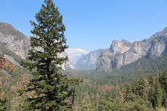 Panorama in Yosemite
