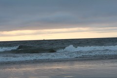 Nog even aan het strand van Moss Landing