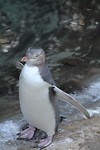 IMG_7021