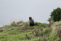 IMG_7044