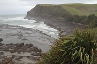 IMG_7095