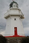 IMG_7151