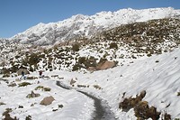 IMG_7265