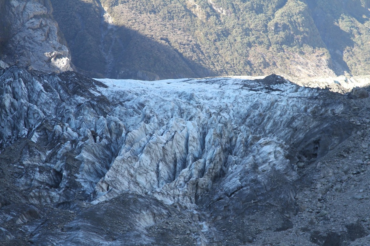 Fox glacier