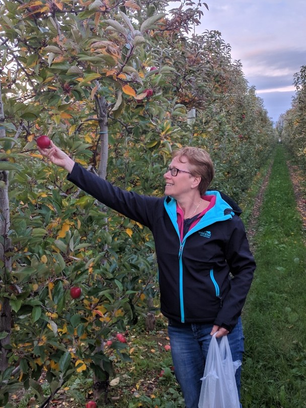 Appels plukken