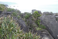 IMG_7387