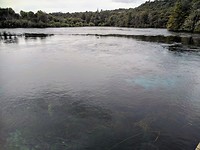 springs