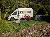 Nikau Cove