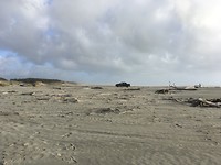 Hokio stream 2