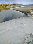 Hokio stream