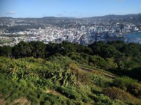 Mt Victoria lookout 1