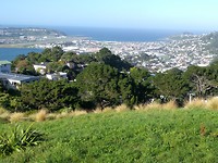 Mt Victoria lookout 2
