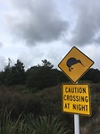 Pas op voor Kiwis