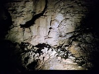 IMG_20180513_114114