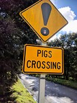 IMG_20180514_120803~2