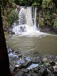 IMG_20180514_121856