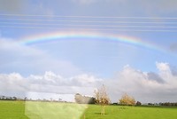 Regenboog