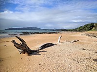 Cable Bay beach