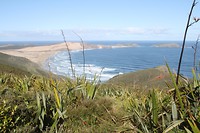 IMG_7589