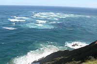 IMG_7598