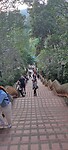 Doi Suthep tempel- trapjes stellen!