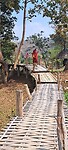 Bamboo brug
