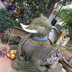 🐘🌸