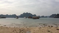 Monkey Island