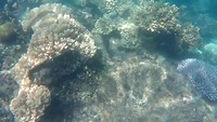 GBR 1