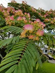 20190108_102852