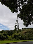 20190108_102927