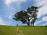 IMG-20190110-WA0010