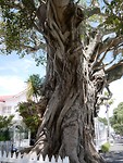 IMG-20190111-WA0009