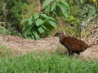 IMG-20190111-WA0001