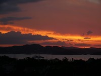 IMG-20190113-WA0008