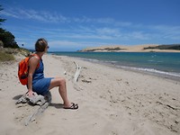 IMG-20190113-WA0006