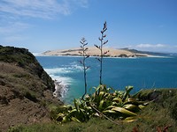IMG-20190113-WA0009