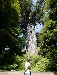 IMG-20190113-WA0005