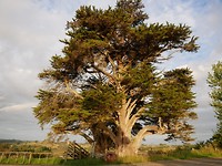 IMG-20190115-WA0006
