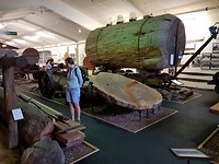 IMG-20190115-WA0013