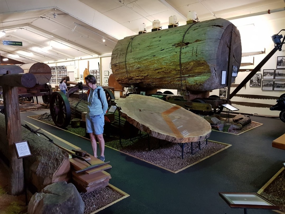 IMG-20190115-WA0013
