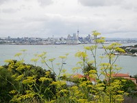 IMG-20190115-WA0024