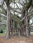 IMG-20190115-WA0019