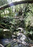 IMG-20190116-WA0010