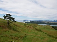 IMG-20190116-WA0015